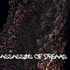 Assassins Of Dreams
