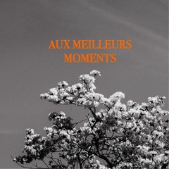 Aux meilleurs moments