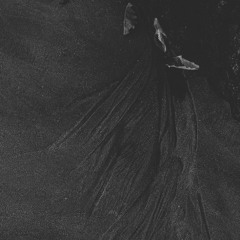 To Th' Eternal Shore