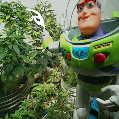 Bass, Astral & Jointy