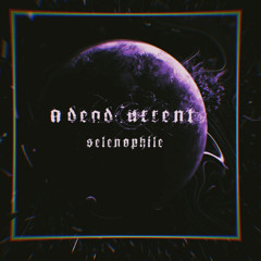 The Flesh Collective