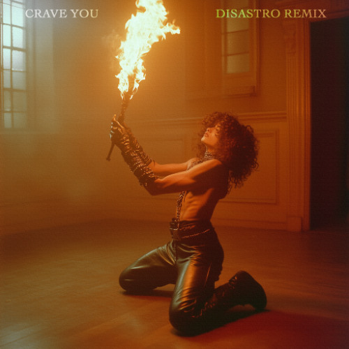 Crave You (Disastro Remix) - Radio Edit