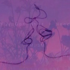 You Got What I Need (Freddie Scott Lo-Fi Cover)