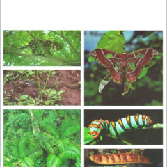 [VIEW] EPUB √ Costa Rican Natural History by  Daniel H. Janzen EPUB KINDLE PDF EBOOK