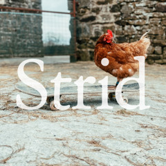 PREMIERE: Faux Soul feat. Pete Davies - Here Regardless [Strid]