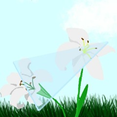 Asymmetrical iLlusi∅N