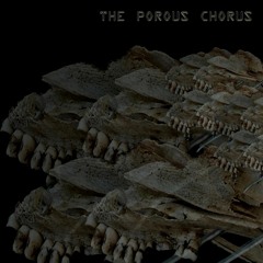 The Porous Chorus (summer rain) (with Sundog)