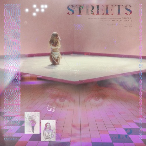 ＳＴＲＥＥＴＳ （ＤＯＪＡ  ＣＡＴ）