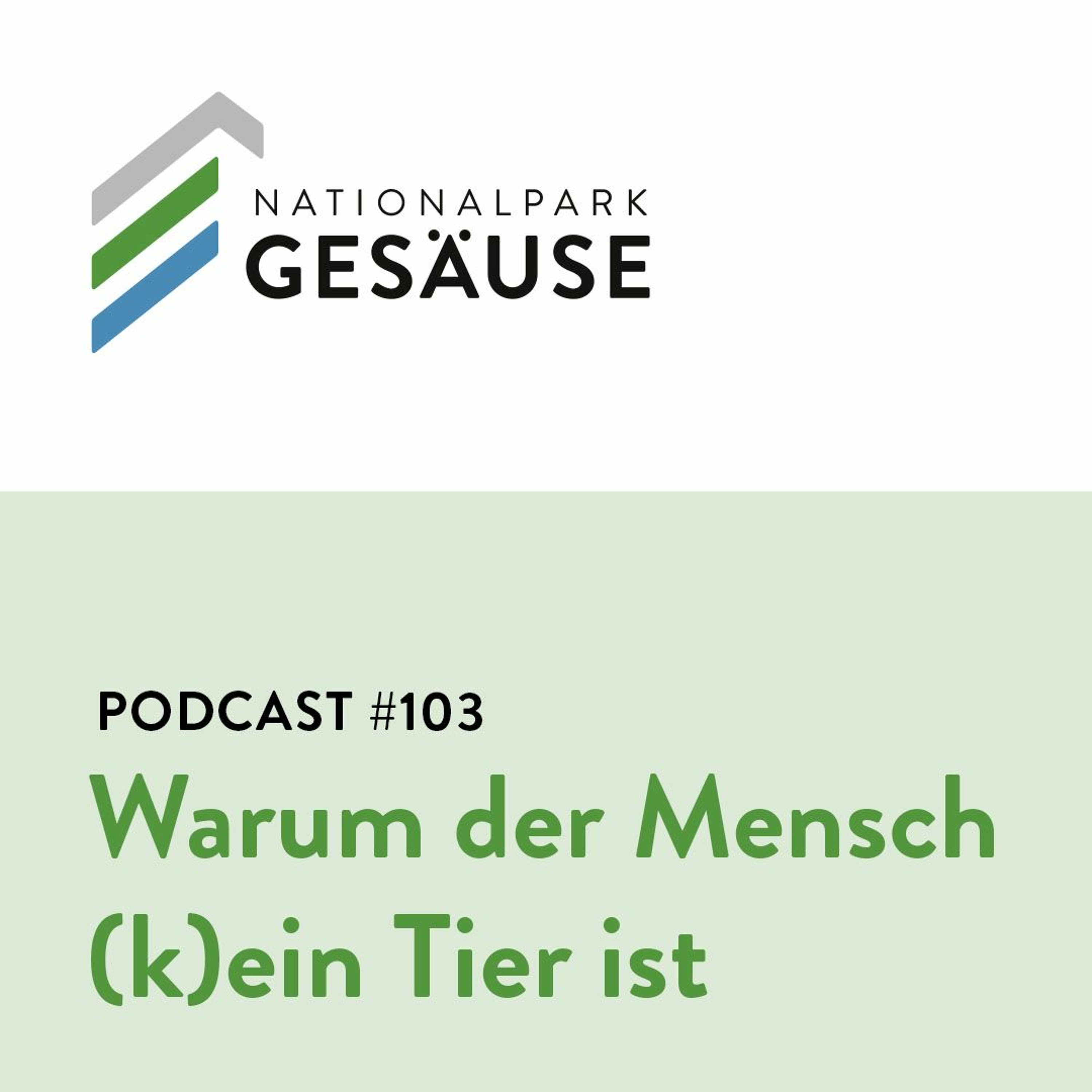 Nationalpark Gesäuse Podcast
