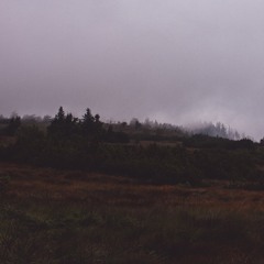 Hornisgrinde (AT)