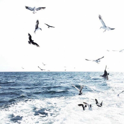 Slimggp & Ogpra - Mp5 [Prod: Fwthis1will & Maxwell2icee] [@DJGREN8DE + BEEZ]