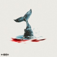 Sabet - Killer Whale.mp3