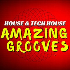 House & Tech House | Leemore's Amazing Grooves DJ Mix