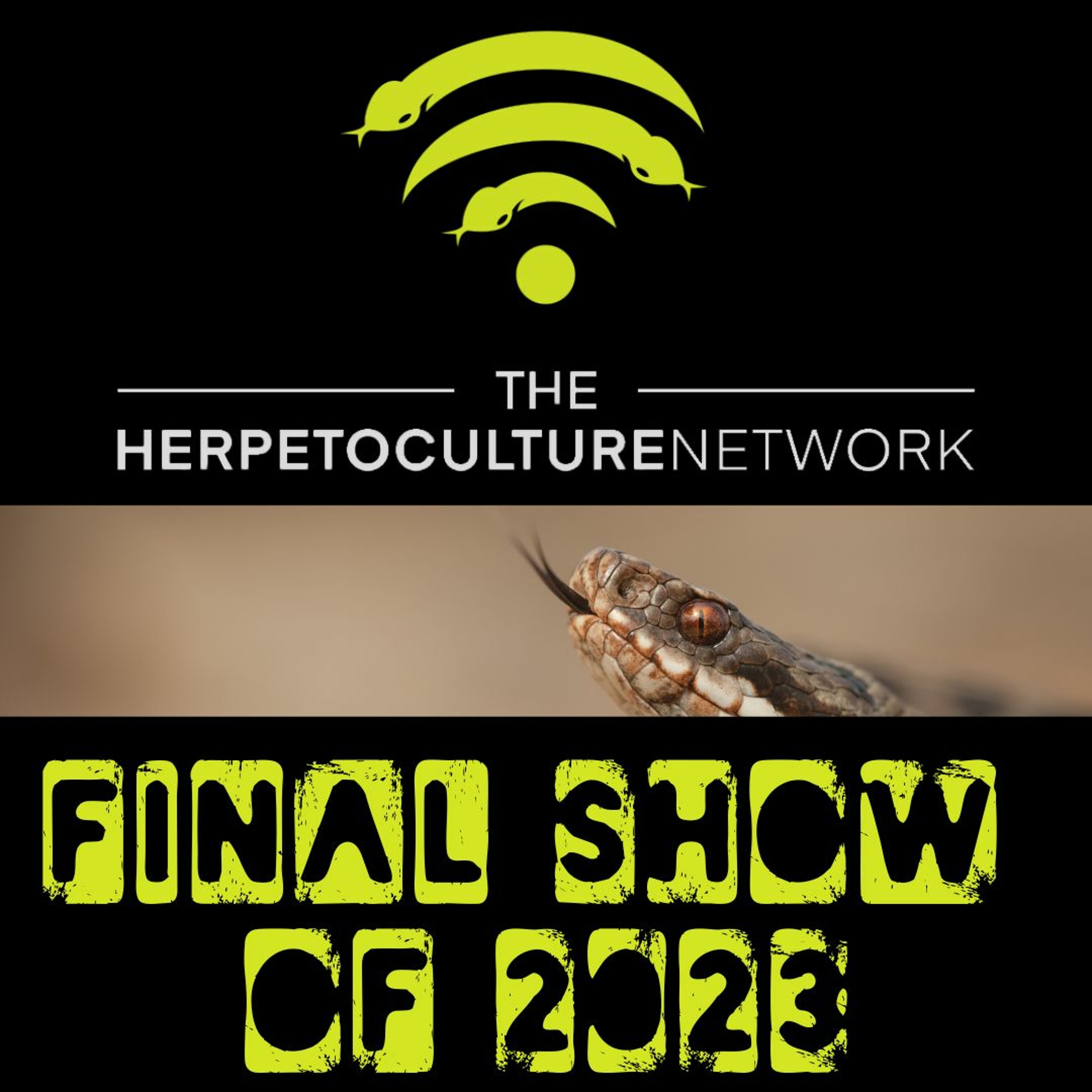 The Final Show of 2023