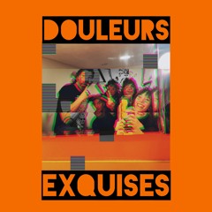 05 - Douleurs Exquises : Plastic Reason
