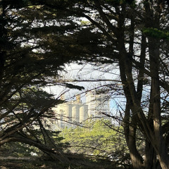 i bought a gourd instead of a pumpkin, im still going to carve it