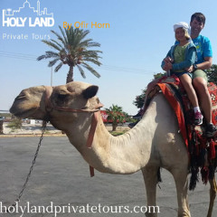 Explore the Holy Land with a Personalized Touch: Israel Private Tour Guide Services