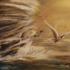 Storm - collaboration with Siddhartha Biswas