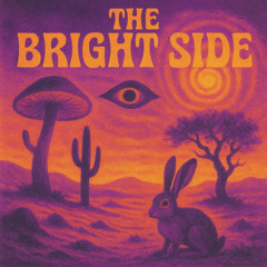 The Bright Side