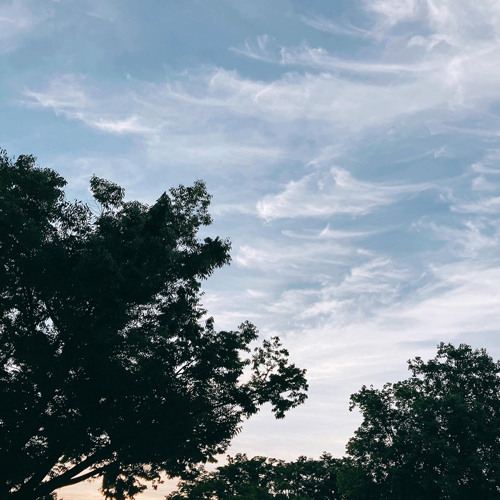 キミの夢は ボクの夢 ポカリスエット By Mol Pepper