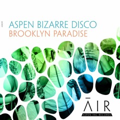 aspen bizarre disco - Brooklyn Paradise *Release 23th Oct. 2K20*