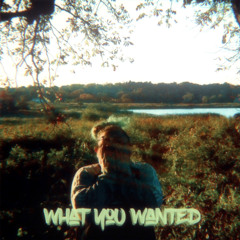 what you wanted (prod. saint mike)
