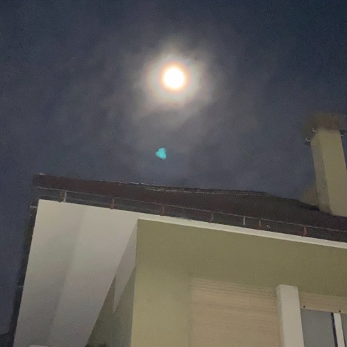 Bravo Ragazzo + Lipsealed e Kenny (me)