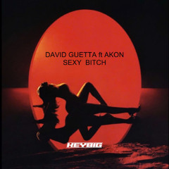 DAVID GUETTA ft AKON - SEXY BITCH (KEYBIG REMIX)