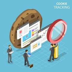 Que sont les cookies ?