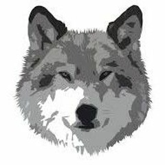 N0 X0 - Wolves