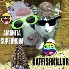 imaginary anomaly x catfishkillrr
