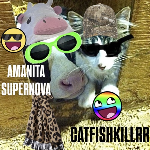 imaginary anomaly x catfishkillrr