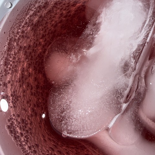 ICE