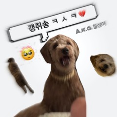 갱쥐송(a.k.a칠성이)