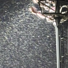 벗어날래 (prod.whit lit)