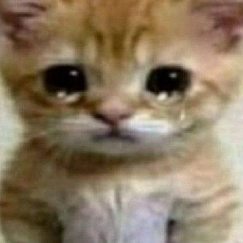 넌 나의 거울_박봄