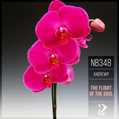 AndrewP - The Flight of the Soul (Original Mix)