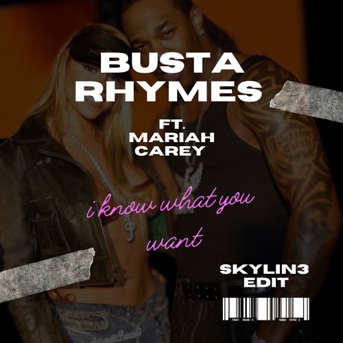 Stream Busta Rhymes i know what you want (Skylin3 Edit) by Skylin3