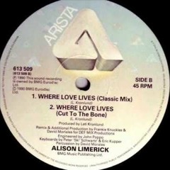 The Spirit Of House - Alison Limerick ft. Frankie Knuckles (Classical House Music Remix)
