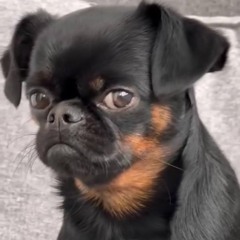 Kai Angel — Madam (ReJazzed)