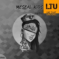 Premiere: Mescal Kids - Fuzzy Head (Original Mix) | Fish & Chicks