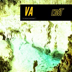 VA - Co$T