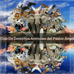 03. CLUB DE DERECHOS ANIMALES DEL PASTOR ANGEL_VEGAMOR