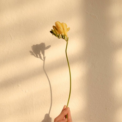 I Anticipated the Dawn | by  ZPE and GKL