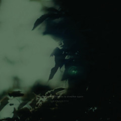 Where the Heart Learns to Breathe Again