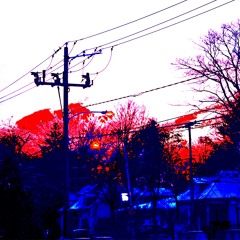 Outdoor Plants - Thank You