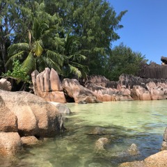 Fine In Your MInd (Dub Version) Live in Pernitz 9.12.2022