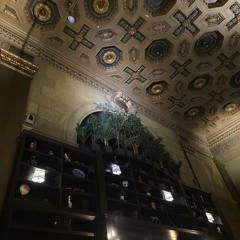 DNSV - Live @ Bartleby (Cleveland, OH) - 10/24/2025