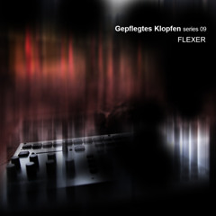 Gepflegtes Klopfen series 09 / FleXer