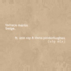 terrace martin - beige (stvg mix)